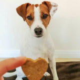 Biscuits Artisanaux pour chien - Poulet et Carottes - Cooka's Cookies - La Patte Verte