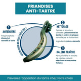 Sticks dentaires pour chien, Friandises Anti - Tartre pour chien - La Patte Verte