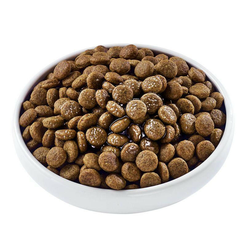 bouillonauboeufoupouletpourchienadulteapplaws905083_1024x1024.jpg?v=1695144371