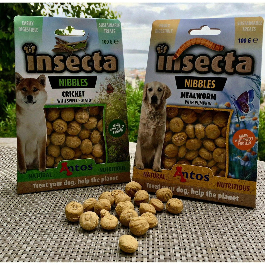 Jungle Doggy - Biscuits chiens aux insectes