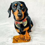 PĂąte de curcuma 'Golden Paste' pour chien et chat - La Patte Verte