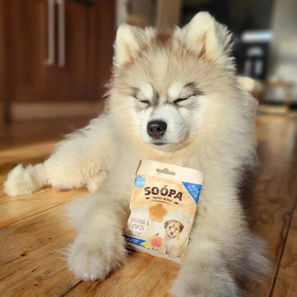 Friandises végétariennes & véganes - La Patte Verte