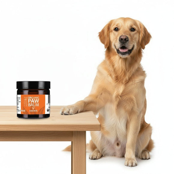 Poils & Peau - La Patte Verte