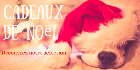 cadeaux noel pour chien 