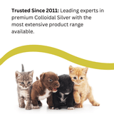 Argent colloïdal 20ppm Chien and Chats - Antibactérien - Flacon compte - gouttes 100 ml - La Patte Verte