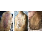 Argent colloïdal en Gel pour chien et chat - Antibactérien - La Patte Verte