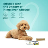 Bâton de fromage de Yak pour Chien - La Patte Verte