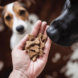 Biscuits Artisanaux pour chien Os Bœuf Cooka's Cookies - La Patte Verte