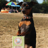Biscuits digestion aux pommes et à la spiruline pour Chien - Cooka’s Cookies - La Patte Verte