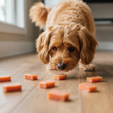 Bouchée de Saumon - Fish D'light Bites Antos - La Patte Verte
