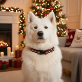 Collier pour chien Noël 'bonhomme de neige marron'