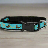 Collier pour Chien 'Teckel bleu'