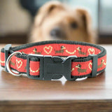 Collier pour Chien 'Teckel rouge'