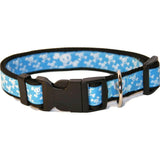Collier pour Chien 'Tête de Mort bleu'