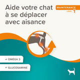 Flexifit Friandises articulations pour chat - 35g - La Patte Verte