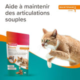 Flexifit Friandises articulations pour chat - 35g - La Patte Verte