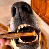 Friandise naturelle Spaghetti de porc pour chien - La Patte Verte