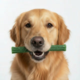 Friandises dentaires bâtonnets à mâcher pour grand chien. L 26.5 cm - La Patte Verte