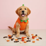 Friandises dentaires d'halloween pour chien Lot de 3 friandises 🎃 💀🦇👻 - La Patte Verte