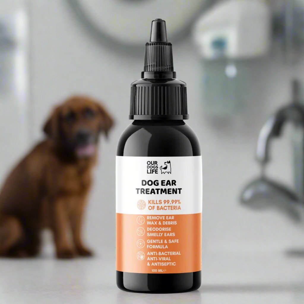 Gouttes Pour Le Traitement De L'infection De L'oreille Du Chien - La Patte Verte