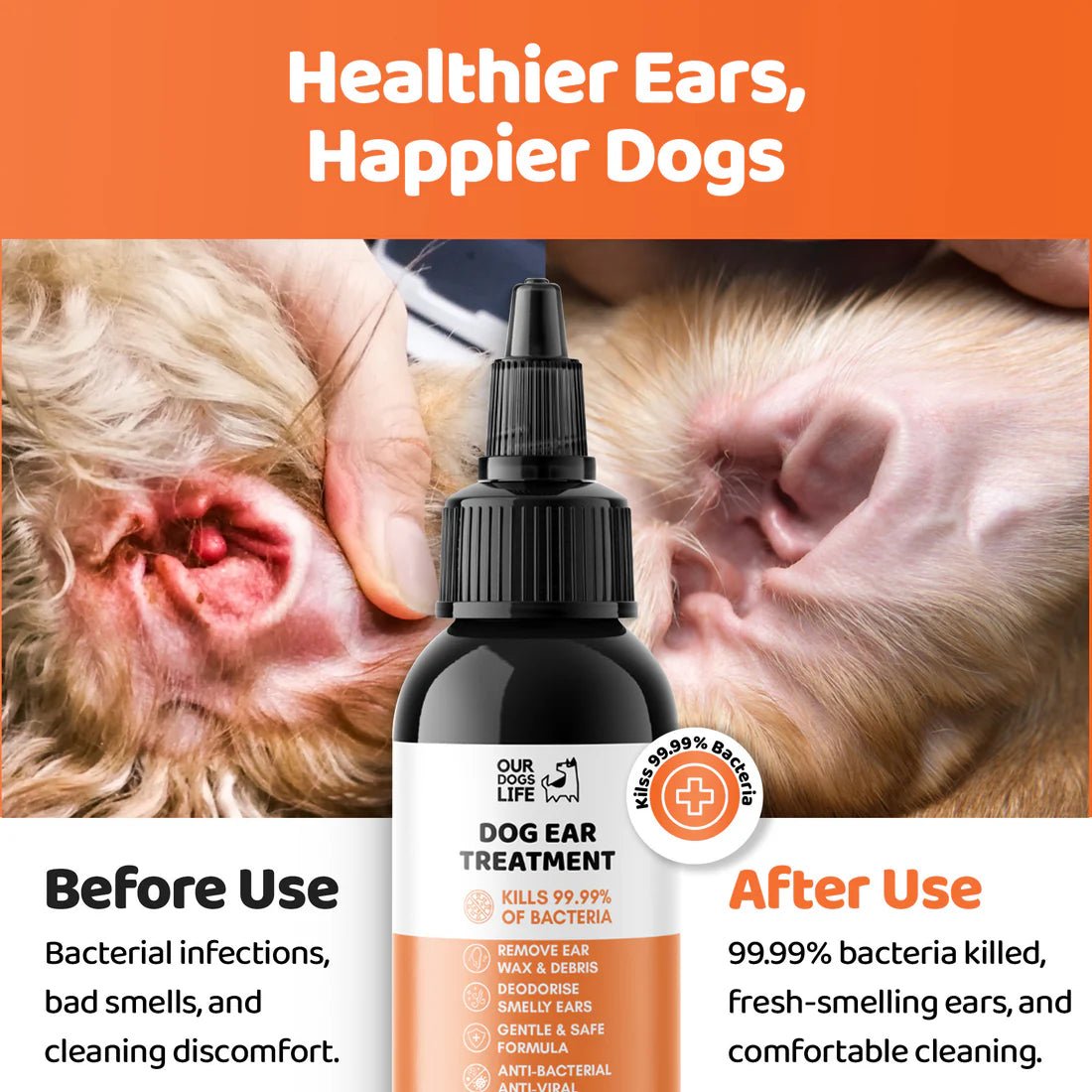 Drops for treating dog ear infection