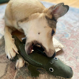 Colin le Crocodile ècologique jouet pour chien Jouet Green & Wilds