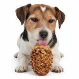 Jouet occupation pour chien - Pomme de Pin - La Patte Verte