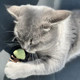 Jouet pour chat poisson avec arêtes MATATABI - La Patte Verte