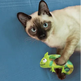 KONG Refillables Caméléon – Jouet pour Chat à l’Herbe à Chat - La Patte Verte
