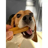 Lot de 2 Bâtons de Fromage de Yak à mâcher pour chien - Taille M - La Patte Verte