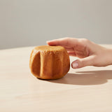 Pandoro Gourmandise Artisanale pour Chien - La Patte Verte