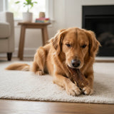 Peau de Sanglier pour Chien - La Patte Verte