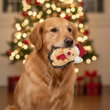 Peluche Hérisson de Noël pour Chien – Doogy - La Patte Verte