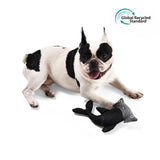 Peluche sonore écologique pour chien – Requin marteau - La Patte Verte