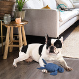 Peluche sonore écologique pour chien – Tortue - La Patte Verte