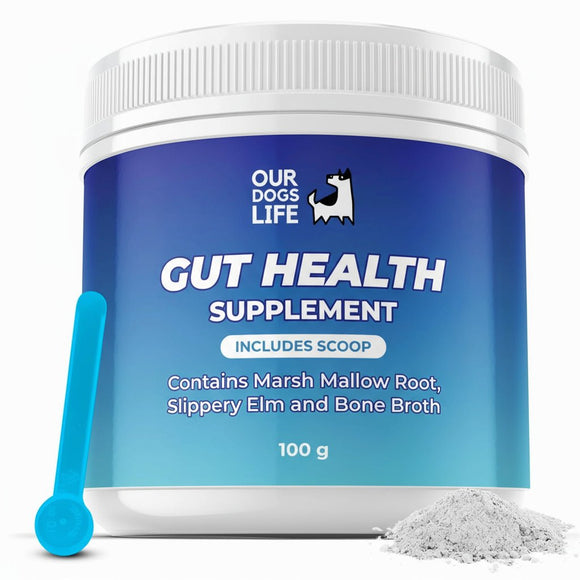 Poudre Complémentaire pour la Santé Intestinale des Chiens - La Patte Verte