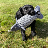 Roger le poisson ècologique jouet pour chien - La Patte Verte