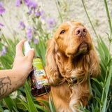 Spray Puces & Tiques pour Chiens et Chats au vinaigre de cidre - La Patte Verte