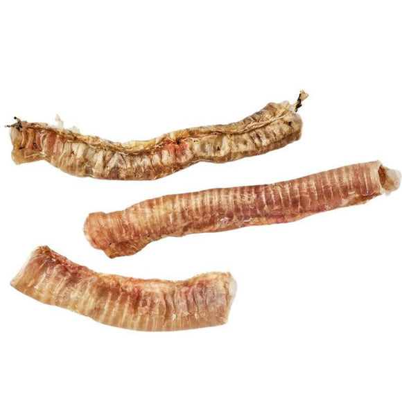 Trachées de boeuf pour chien – Snack dentaire 100% Naturel Antos - La Patte Verte