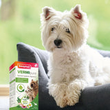 Vermipure, Comprimés pour chiot et petit chien < 15kg - La Patte Verte