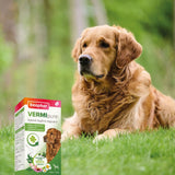 Vermipure purge aux plantes chien plus de 15 kg - La Patte Verte