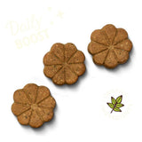 Biscuits pour la pause beurre de cacahuètes Lily's Kitchen - La Patte Verte