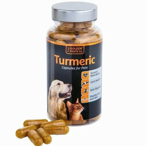 HUILE DE SAUMON pour chien et chat Bubimex