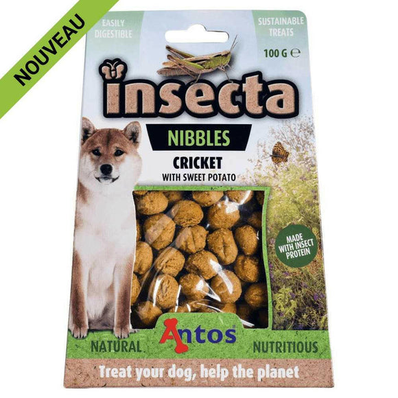 Friandises à Base d'Insectes pour chien Criquet & Patate Douce - La Patte Verte