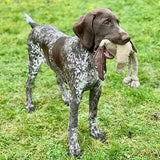 Jouet pour chien naturel 'Canard' - La Patte Verte