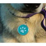 Médaille d'identité pour chien - Patte Bleu Grand 38mm - La Patte Verte