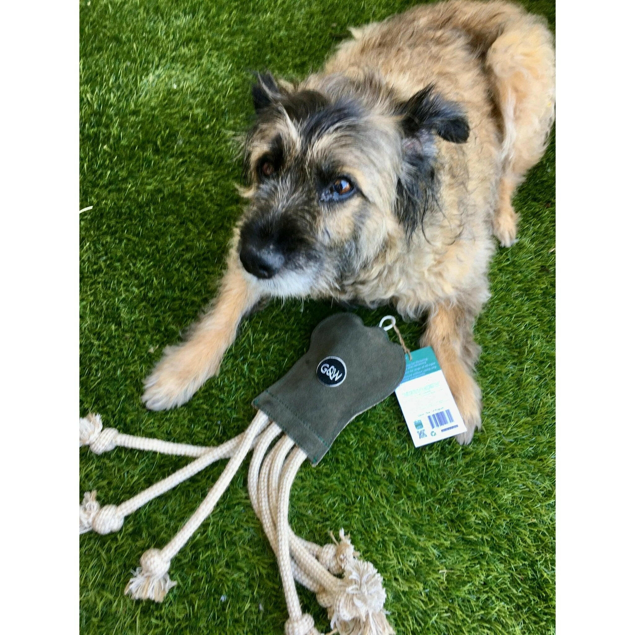 Sqinor Jouet Chien Couineur Interactif, Solide Peluche Pour Gros Petite