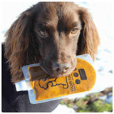 Pâte de curcuma 'Golden Paste' pour chien et chat - La Patte Verte
