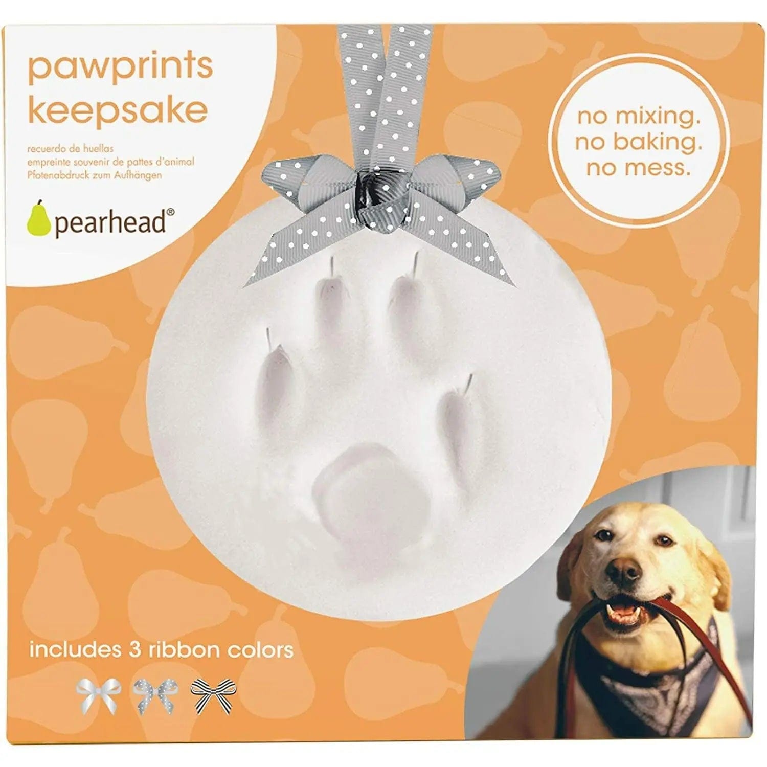Ensemble d'empreintes de pattes de chien et de chat, cadre photo en bois,  plâtre 3D 