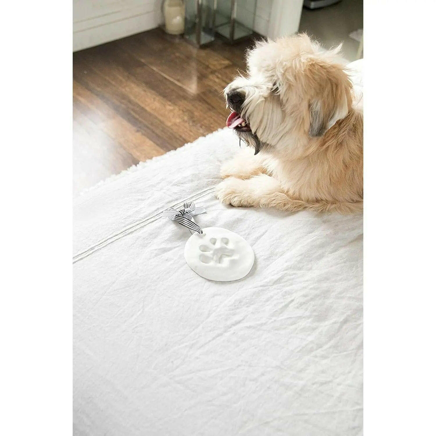 Charm Espaceur Empreintes De Patte - Pour Bracelet Ou Collier - Chien Ou Chat